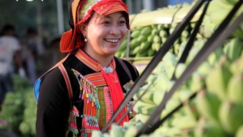Nụ cười trong mùa quả ngọt ở huyện biên giới Phong Thổ