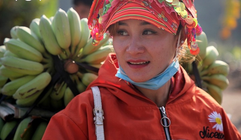 Nụ cười trong mùa quả ngọt ở huyện biên giới Phong Thổ