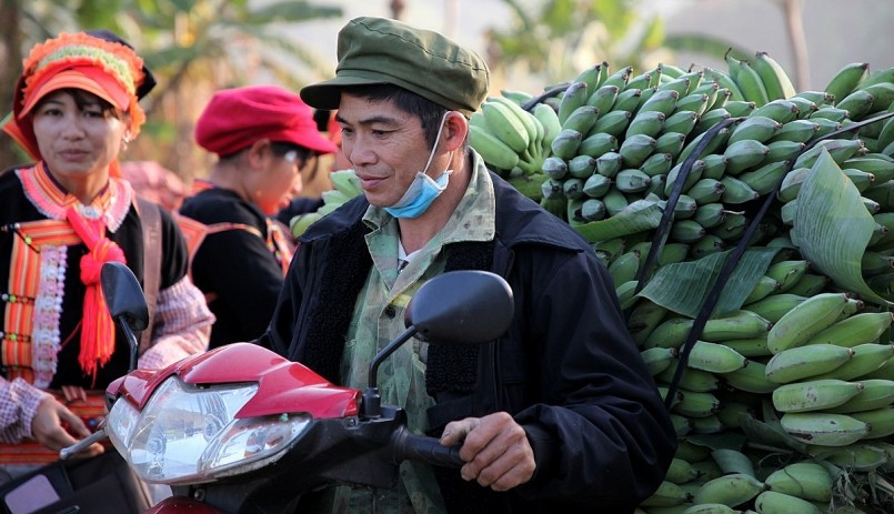 Nụ cười trong mùa quả ngọt ở huyện biên giới Phong Thổ