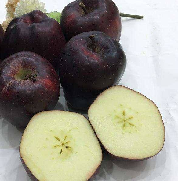 Quả táo đen xì đen xịt độc, lạ, ngon, bổ có giá 500 nghìn/quả