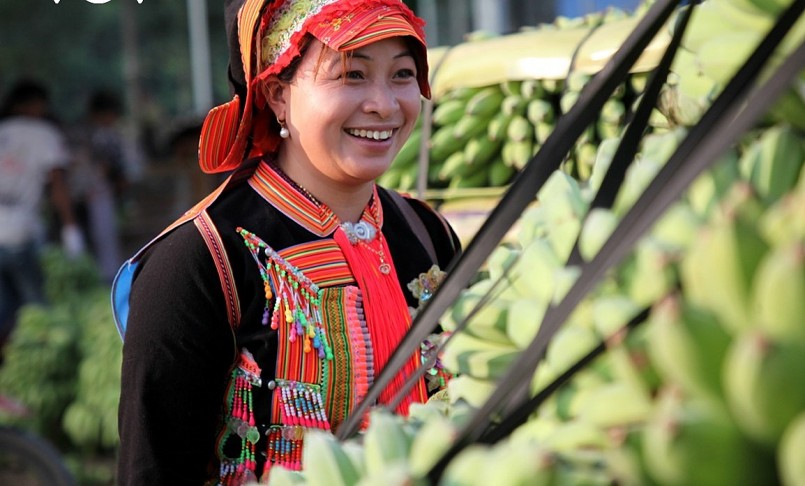 Nụ cười trong mùa quả ngọt ở huyện biên giới Phong Thổ