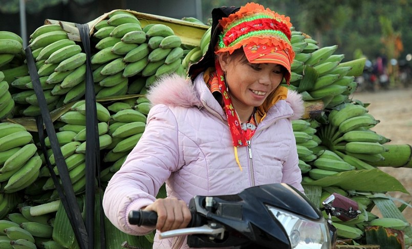 Nụ cười trong mùa quả ngọt ở huyện biên giới Phong Thổ