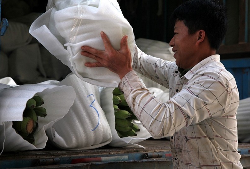 Nụ cười trong mùa quả ngọt ở huyện biên giới Phong Thổ