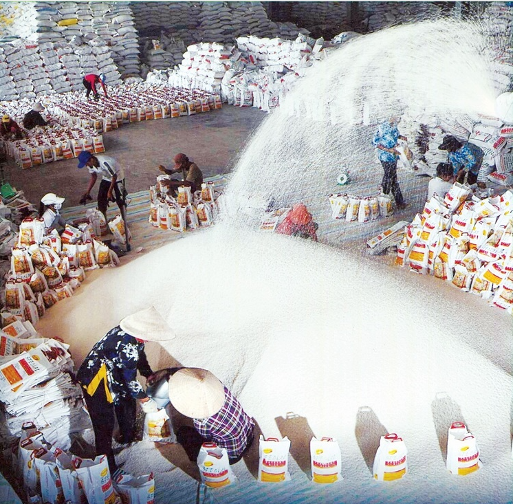 Giá gạo xuất khẩu Việt Nam đứng đầu thế giới