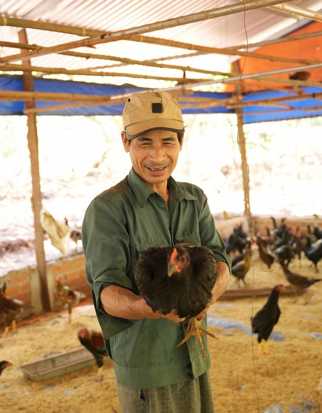 Anh Lê Văn Thanh cho biết, thương lái rất chuộng gà thương phẩm của gia đình anh, vì chất lượng thịt ngon, nên giá nhỉnh hơn các nơi khác họ vẫn mua