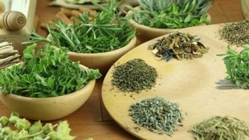 Điều trị sốt xuất huyết bằng bài thuốc y học cổ truyền