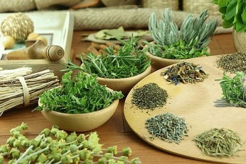 Điều trị sốt xuất huyết bằng bài thuốc y học cổ truyền