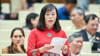 Cân nhắc quy định về Quỹ hỗ trợ phát triển hợp tác xã