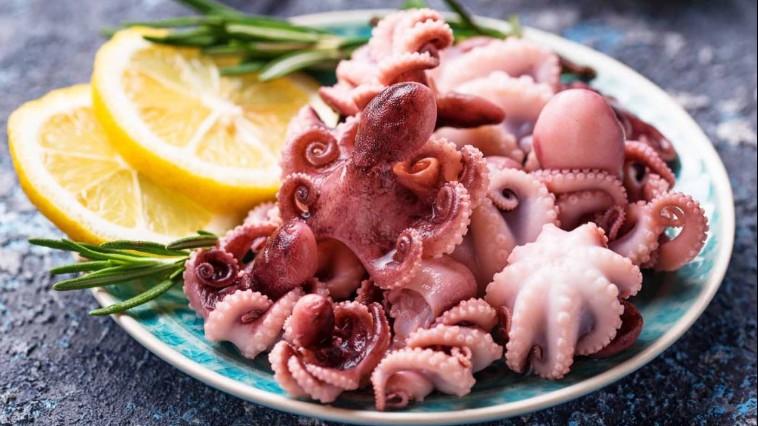 Loại hải sản tuy nhỏ nhưng có "võ", rất được lòng thực khách