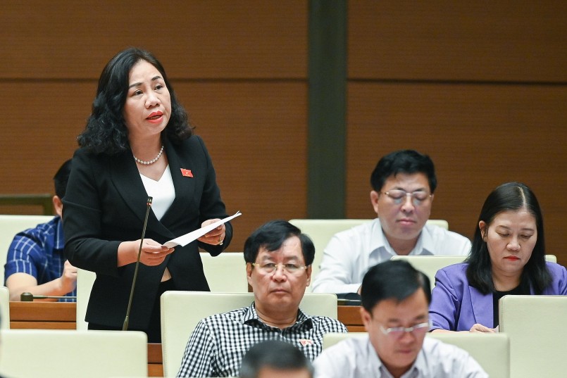 Đại biểu Trần Thị Hiền - Đoàn ĐBQH tỉnh Hà Nam