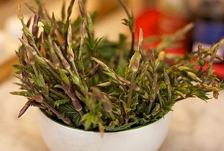 Với mức giá lên tới 1.000 Euro/kg (gần 26 triệu đồng), chồi hoa bia xứng đáng được coi là loại rau đắt nhất thế giới. Sở dĩ giá của chồi hoa bia cao đến như vậy là bởi sự khan hiếm của loài cây này.