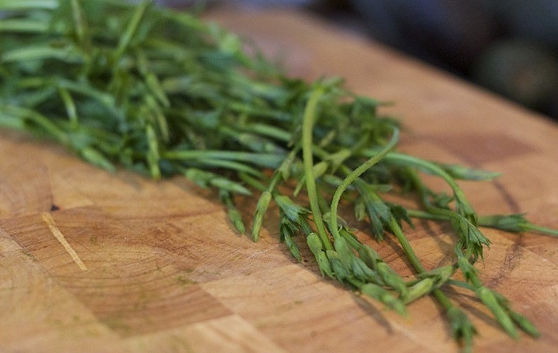 Loại rau này có hình dáng bên ngoài rất giống ngọn măng tây. Có thể sử dụng chồi hoa bia để chế biến thành nhiều món đặc sản. 