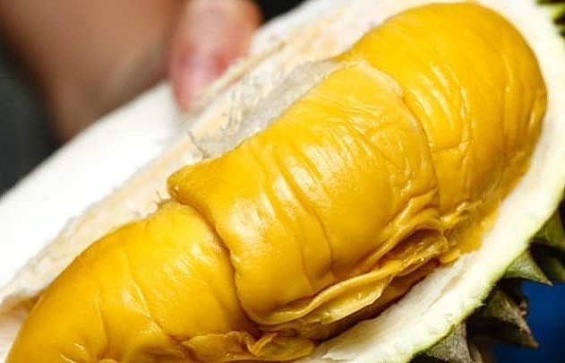 Múi sầu riêng Musang King to, nhiều cơm, màu vàng đậm (hoặc đỏ).