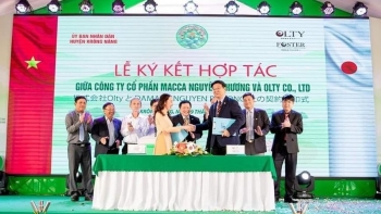 Vì sao hạt mắc ca Đắk Lắk được doanh nghiệp Nhật lựa chọn?