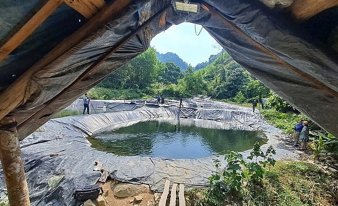 Mô hình nuôi cá tầm của ông Mạ gồm 5 ao nuôi được phủ bạt và có hệ thống xử lý nước để cá phát triển. Ảnh: Cường Vũ.