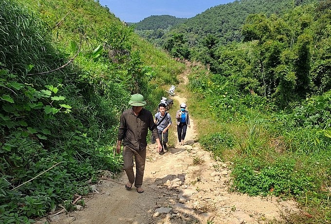 Đường lên trại cá tầm của ông Trần Văn Mạ. Ảnh: Cường Vũ.