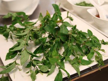 Loại lá mọc bờ rào là đặc sản chỉ có ở Phú Yên, muốn mua cũng cực khó