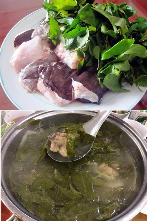 Loại lá mọc bờ rào là đặc sản chỉ có ở Phú Yên, muốn mua cũng cực khó