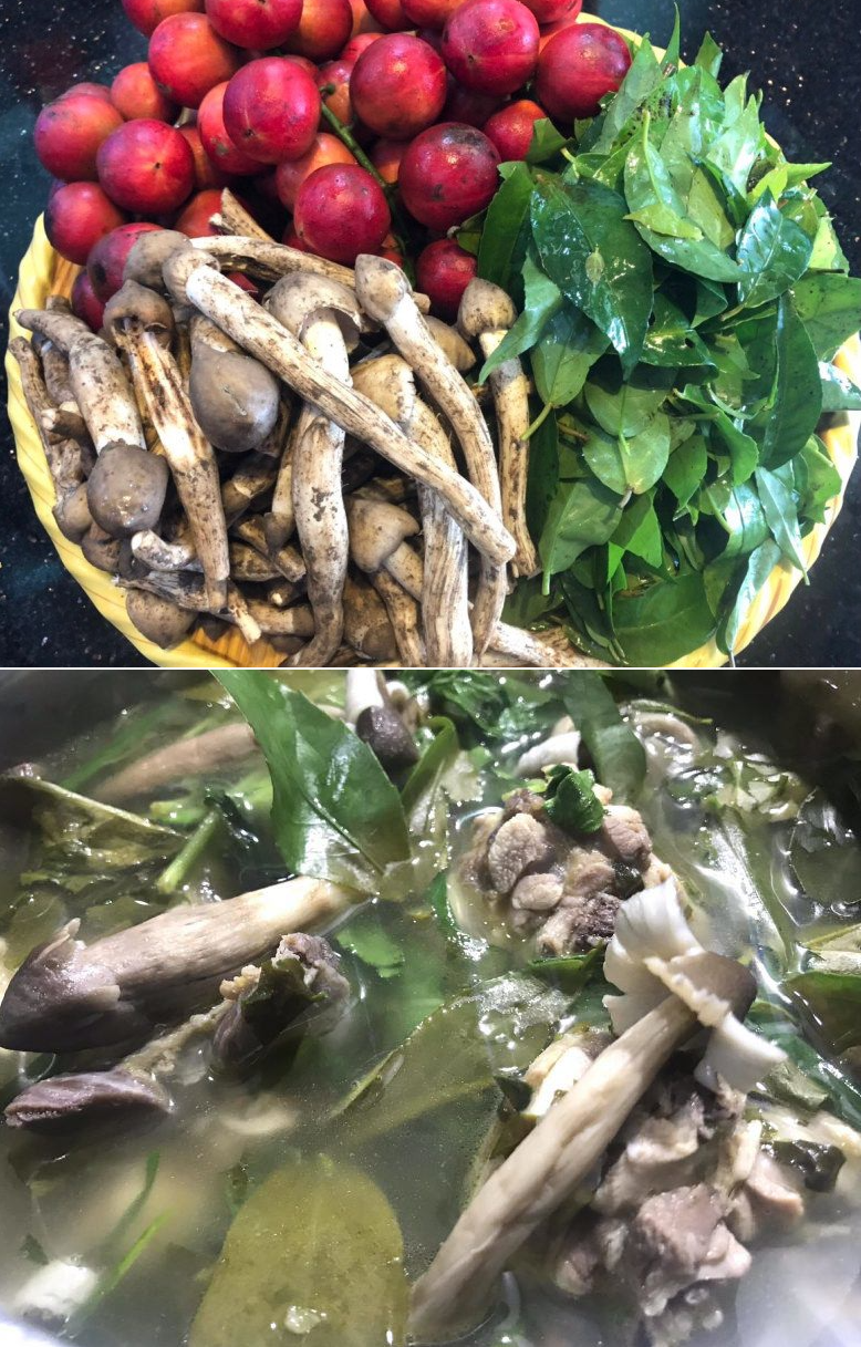 Loại lá mọc bờ rào là đặc sản chỉ có ở Phú Yên, muốn mua cũng cực khó