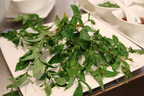 Loại lá mọc bờ rào là đặc sản chỉ có ở Phú Yên, muốn mua cũng cực khó