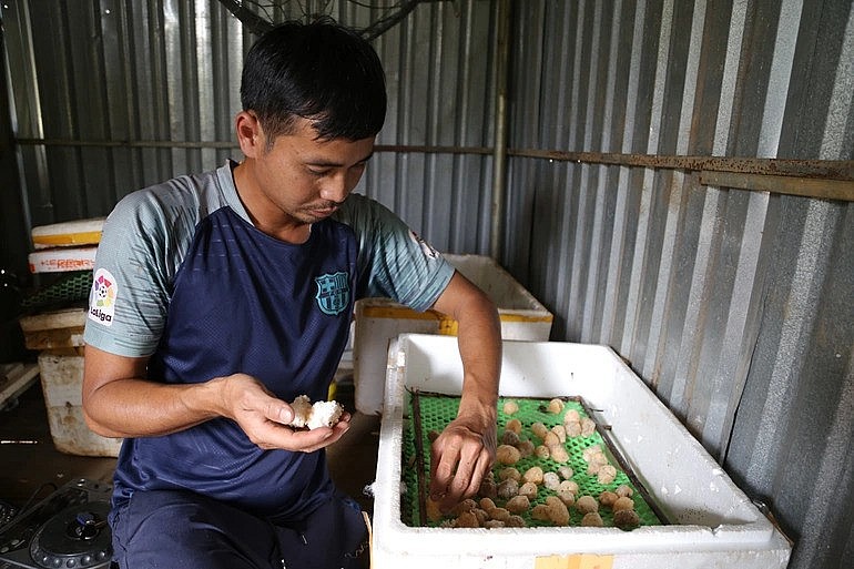 Anh Hội tại khu vực dùng ấp trứng