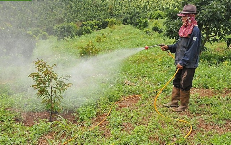 Người dân xã Nhân Cơ (Đắk R’lấp) sử dụng chế phẩm sinh học chăm sóc, phòng trừ sâu hại cho cây sầu riêng.