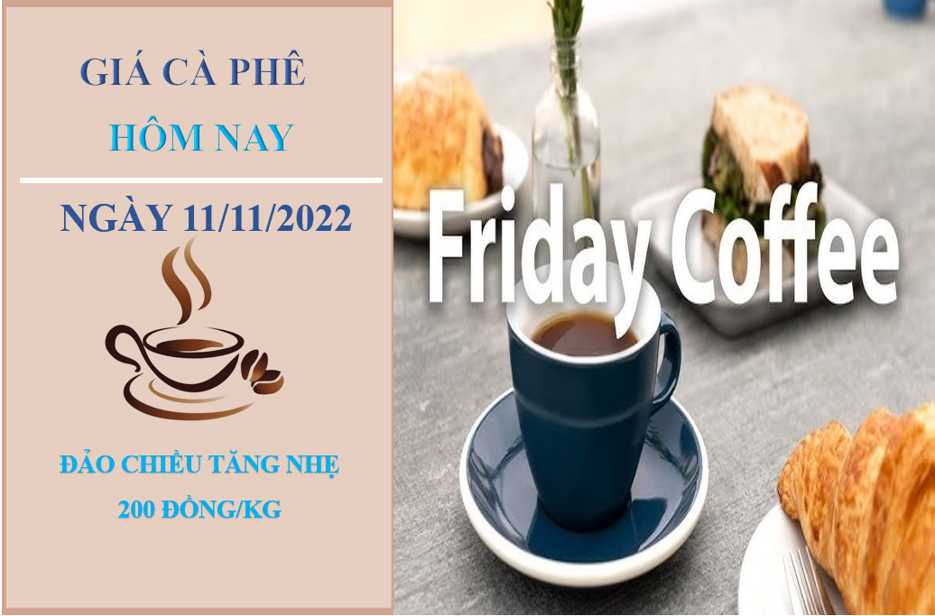Giá cà phê hôm nay 11/11/2022: Giá cà phê hôm nay 11/11/2022: