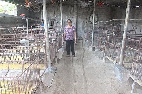 Chuyên gia cảnh báo cần thận trọng