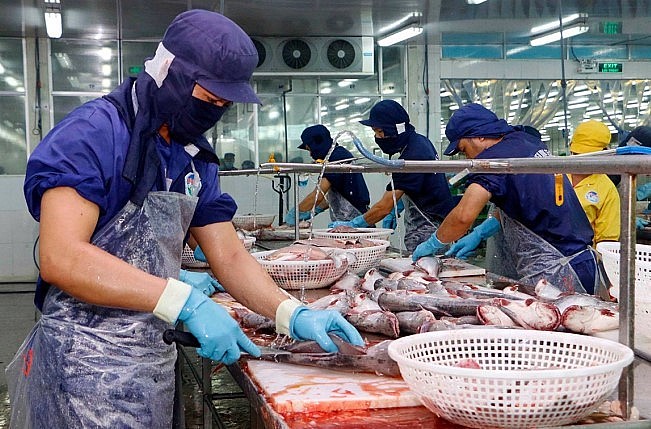 Xuất khẩu cá tra tăng trưởng cả về lượng và giá Xuất khẩu cá tra tăng trưởng cả về lượng và giá