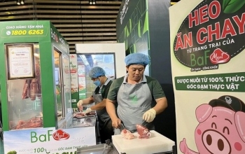 BAF "bỏ túi" 1,75 tỉ đồng mỗi ngày nhờ “heo ăn chay”