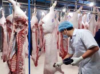 Đây mới là lý do lớn khiến thịt heo khó xuất khẩu