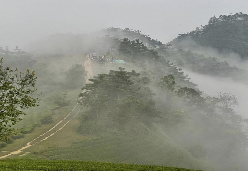 Đồi chè Long Cốc mùa này như lạc chốn bồng lai