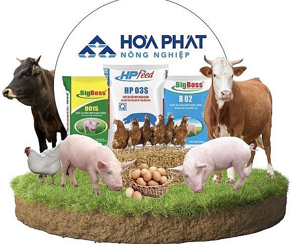 Lũy kế chín tháng năm 2022, mảng nông nghiệp Hòa Phát đạt doanh thu hơn 5.000 tỷ và lãi 84 tỷ