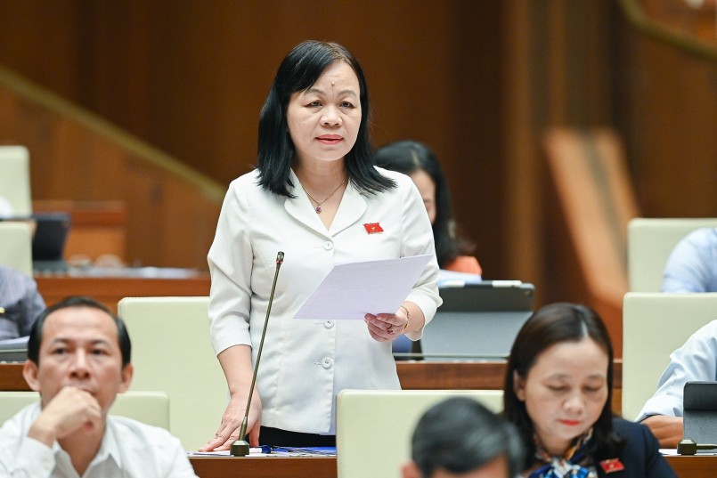 Đại biểu Nguyễn Thị Mai Hoa – Đoàn ĐBQH tỉnh Đồng Tháp phát biểu