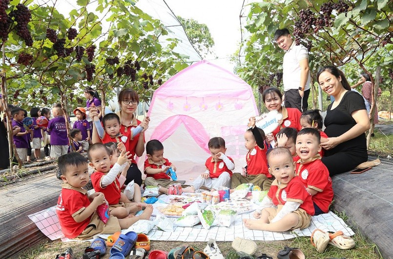 Ninh Bình: Mô hình trồng nho Hạ đen đảm bảo mực tiêu ké