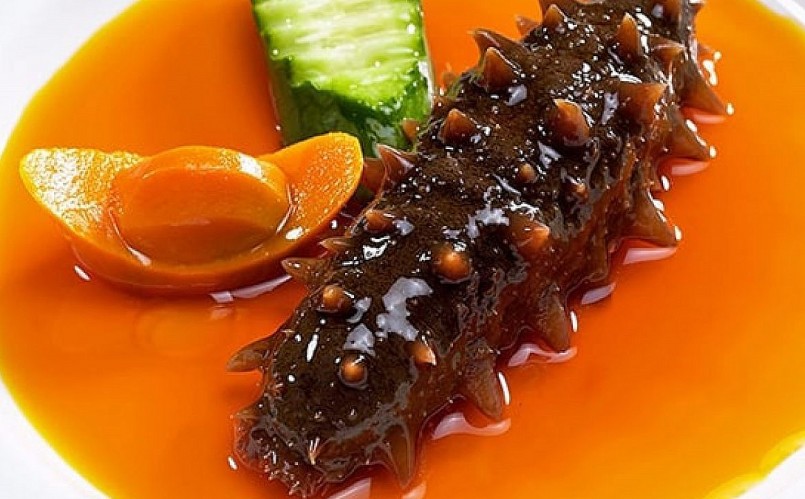 Dưa chuột biển còn gọi là hải sâm có giá trị rất cao.