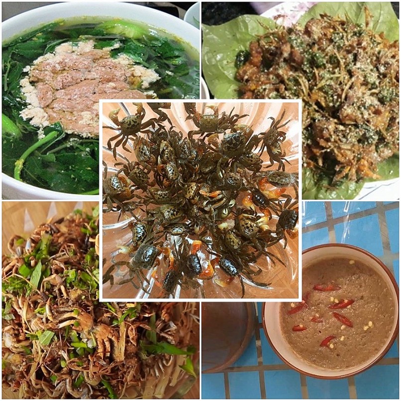 Độc chiêu săn loài nhiều chân chạy nhanh như gió bằng cốc nhựa và ruốc hôi