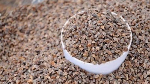 Hà Giang xuất khẩu 5 tấn hạt tam giác mạch sang Nhật Bản