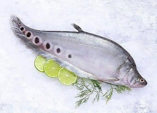 Cá xưa làm thức ăn cho lợn, nay “lên đời” thành đặc sản giá 330.000 đồng/kg Cá xưa làm thức ăn cho lợn, nay “lên đời” thành đặc sản giá 330.000 đồng/kg