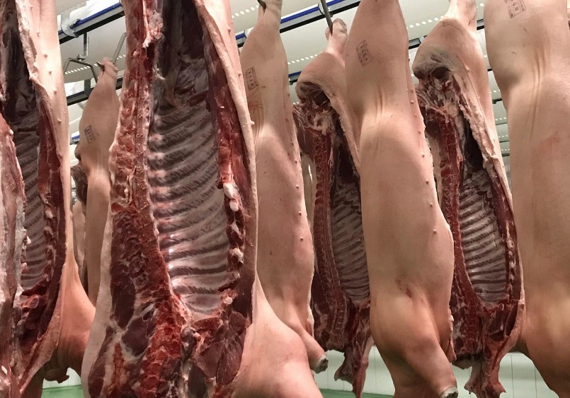 Nguồn cung nhiều trong khi nhu cầu tiêu thụ trong nước giảm sút khiến giá heo liên tục giảm.