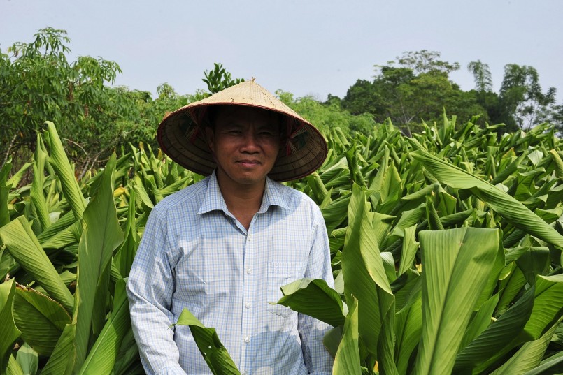 Anh nông dân bên khu trồng nghệ Anh nông dân bên khu trồng nghệ