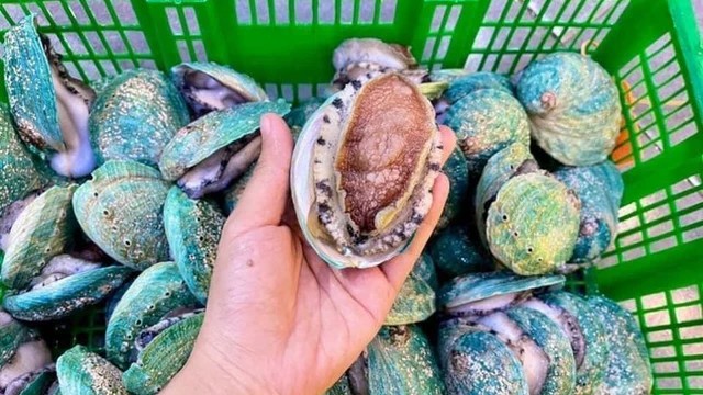 Món ăn chỉ dành cho nhà giàu, nay giảm giá mạnh nhiều người được ăn sang