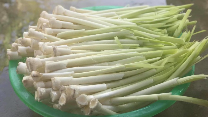 Cây mọc hoang ở ao hồ thành đặc sản dù bán giá cao vẫn nhiều người săn lùng