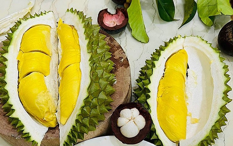 Một quả sầu Musang King thường có 5 hộc múi đều nhau. Sầu mùi thơm rất mạnh, lấn át hẳn mùi thơm của sầu ri6 khi được để cạnh nhau. Tỷ lệ hạt lép của loại sầu riêng vua này lên tới 80%. Một quả sầu Musang King thường có 5 hộc múi đều nhau. Sầu mùi thơm rất mạnh, lấn át hẳn mùi thơm của sầu ri6 khi được để cạnh nhau. Tỷ lệ hạt lép của loại sầu riêng vua này lên tới 80%.