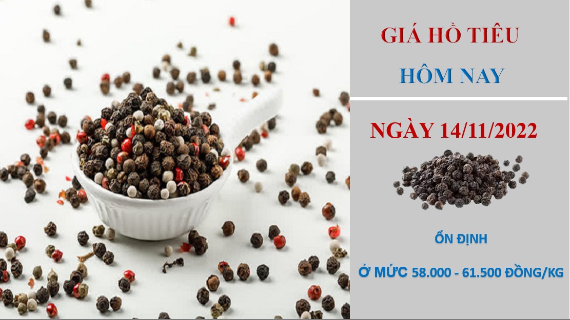 Giá hồ tiêu hôm nay 14/11/2022: Đi ngang tại các địa phương