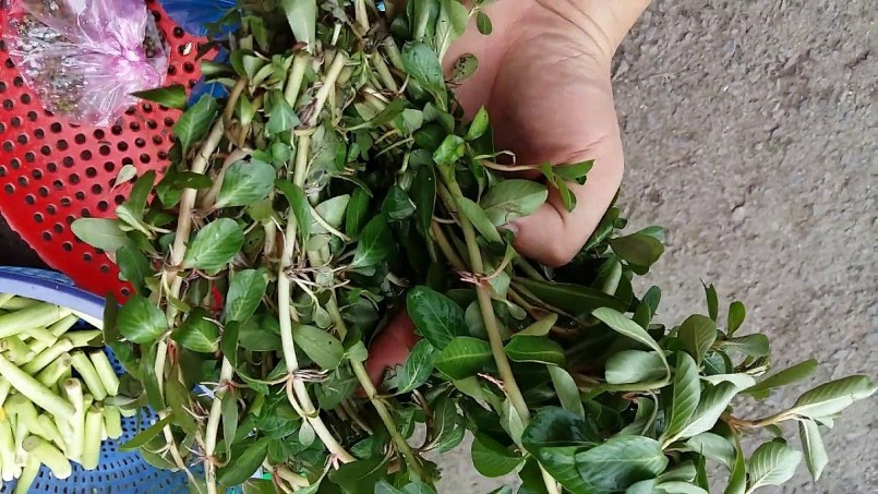 trở thành món ăn đặc sản của thành phố, giá khá đắt đỏ