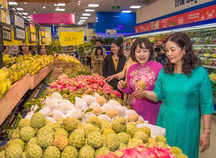 Khởi động Tuần lễ 