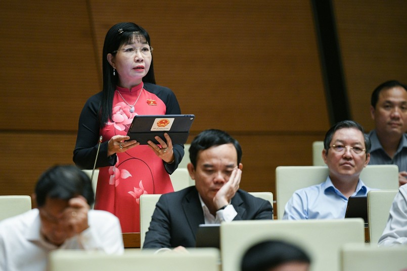 Đại biểu Trần Thị Thanh Hương – Đoàn ĐBQH tỉnh An Giang