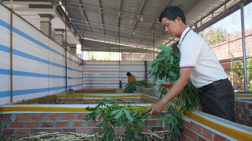 Người nuôi dế “khùng” nhất vùng biên bỗng trở thành