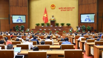 Quốc hội chính thức thông qua Luật Phòng, chống bạo lực gia đình (sửa đổi)